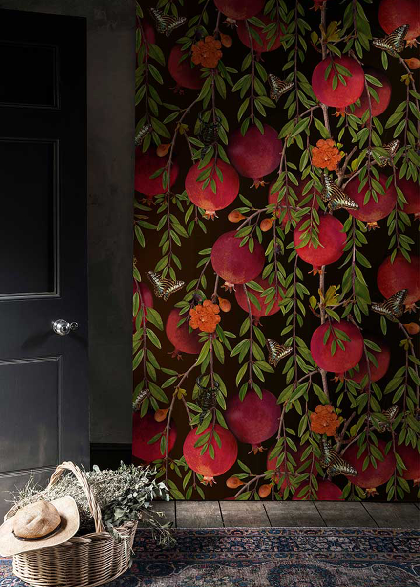 'Pomegranate' Canvas Wall Art