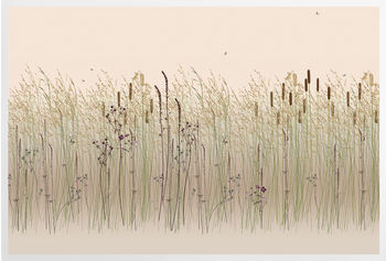 'Grasses' Art Prints