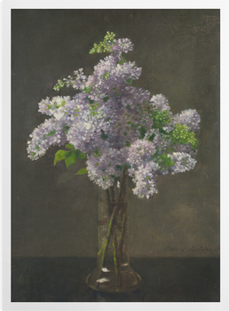 'Lilac' Art Prints