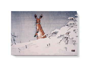 'Snow and Hare' Canvas Wall Art