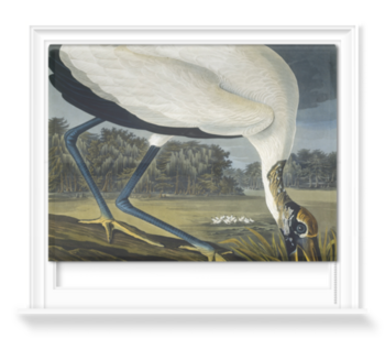 'Wood Stork, Mycteria American' Roller Blind