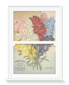 'Dreer's Large Flowering' Decorative Window Film