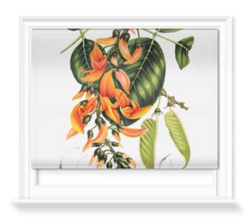 'Flame of the Forest [Butea frondosa]' Roller Blind