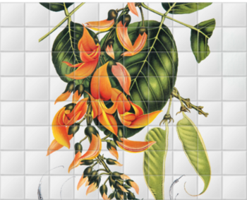 'Flame of the Forest [Butea frondosa]' Ceramic Tile Mural