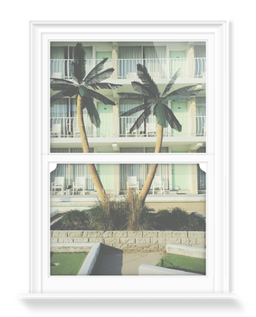 'Motel Palms' Decorative window films