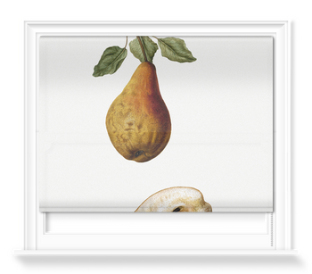 'Pears' Roller Blind