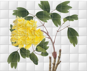 'Yellow Peony' Ceramic Tile Mural