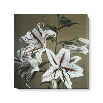 'Lily' Canvas Wall Art