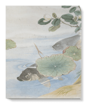 'Grey Fish, Water Lily and White Flower' Canvas Wall Art