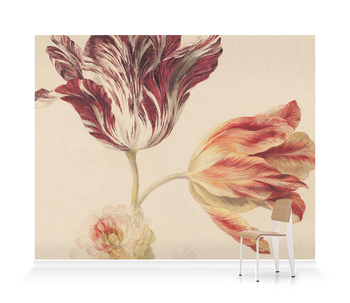 'Moser Tulips' Wallpaper Murals