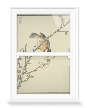 'Sakura (Framed)' Decorative Window Films
