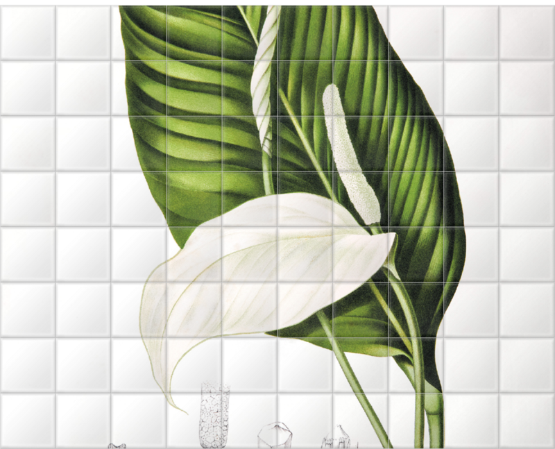 'Peace Lily [Spathiphyllopsis minahassae]' Ceramic Tile Mural