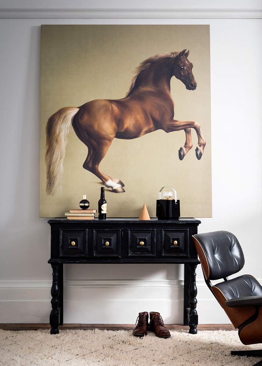 'Whistlejacket' Canvas Wall Art