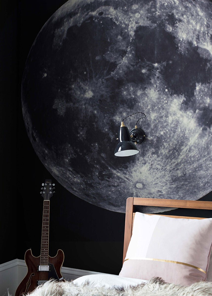 'Full Moon, between 1858 and 1862' Wallpaper Mural ...