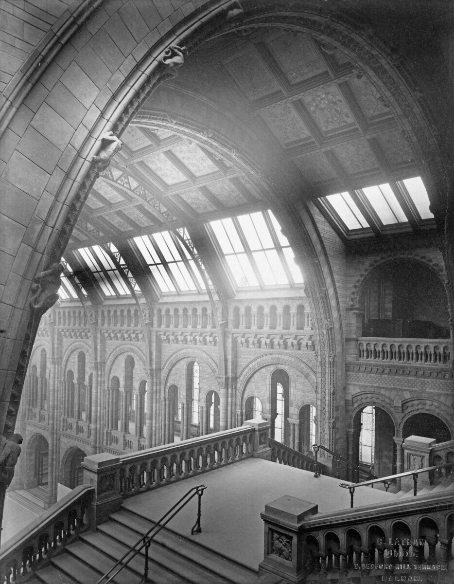 The Central Hall of the Natural History Museum from the Botany Landing