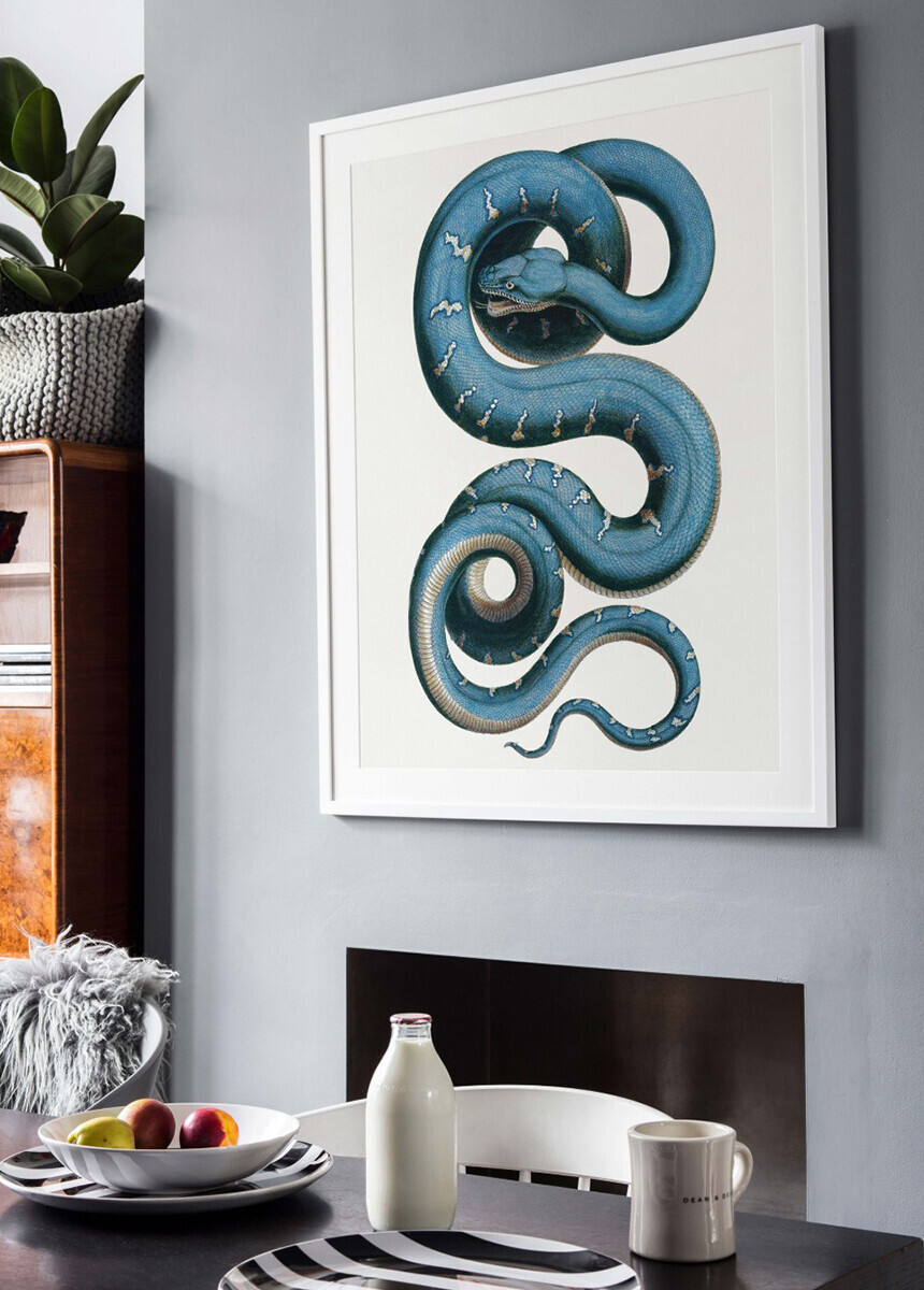 Snake' Art Prints | SurfaceView Snake' Art Prints | SurfaceView