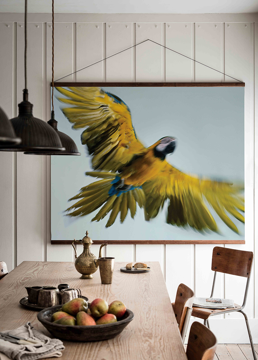 Yellow parrot in flight wall hanging