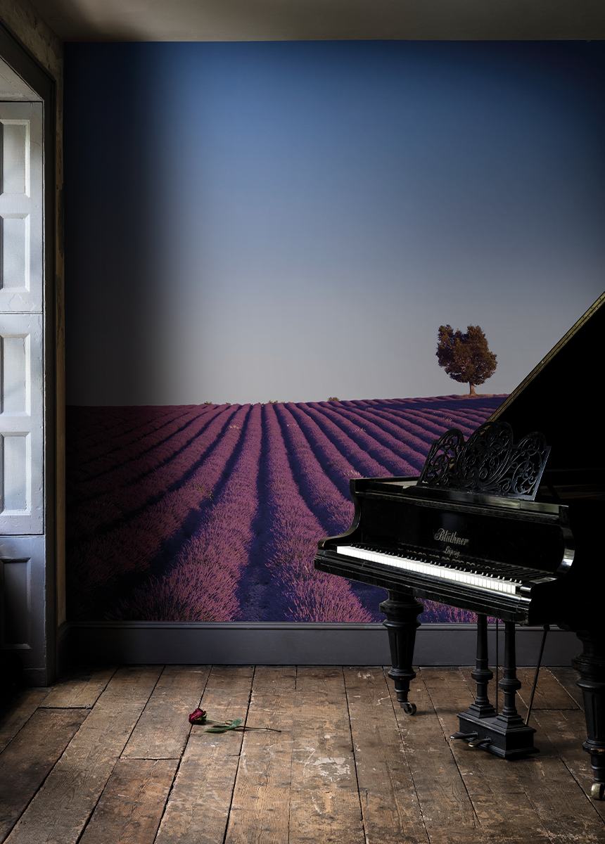'Field of Lavender ' Wallpaper Mural