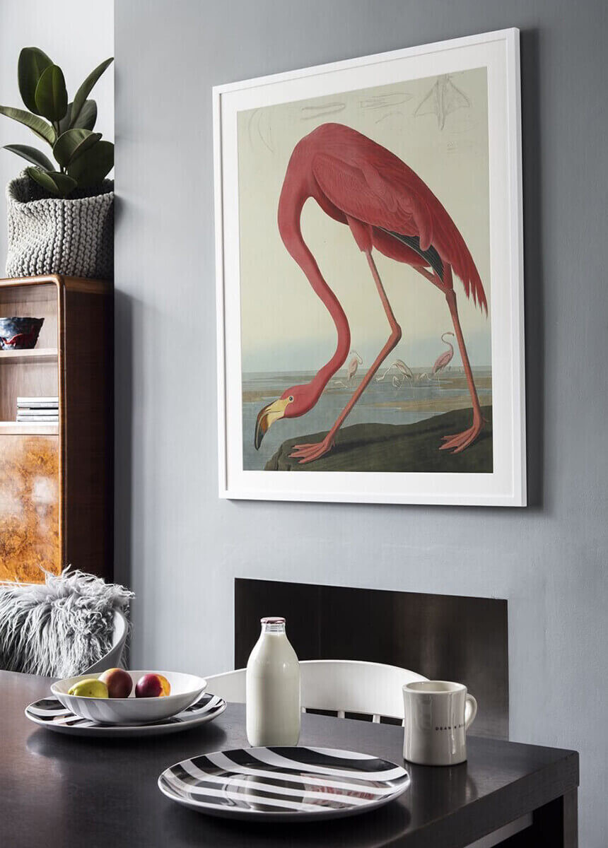 Greater Flamingo, Phownicopterus Ruber' art print in a modern interior