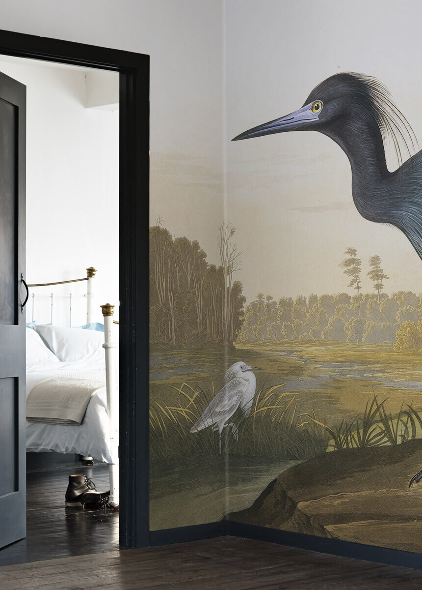 'Little Blue Heron, Egretta Caerulea' Wallpaper Mural