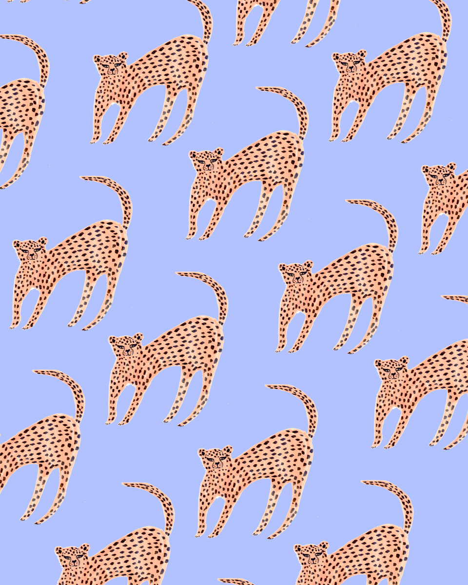 Pink Cheetahs