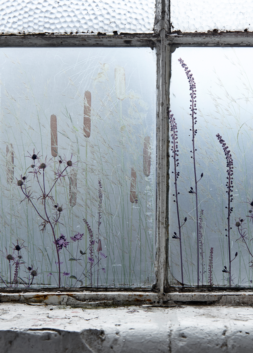 'Grasses' Decorative Window Film