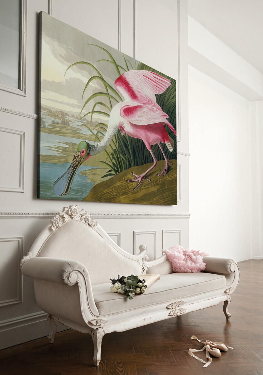 'Roseate Spoonbill, Ajama Ajaja' pink canvas wall art in a pink interior