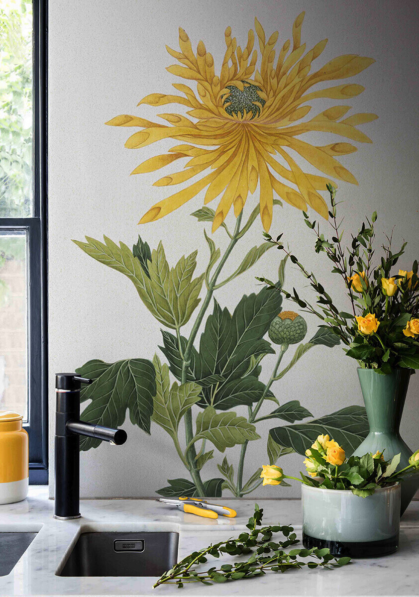 Yellow Chrysanthemum Wallpaper mural in a modern kitchen