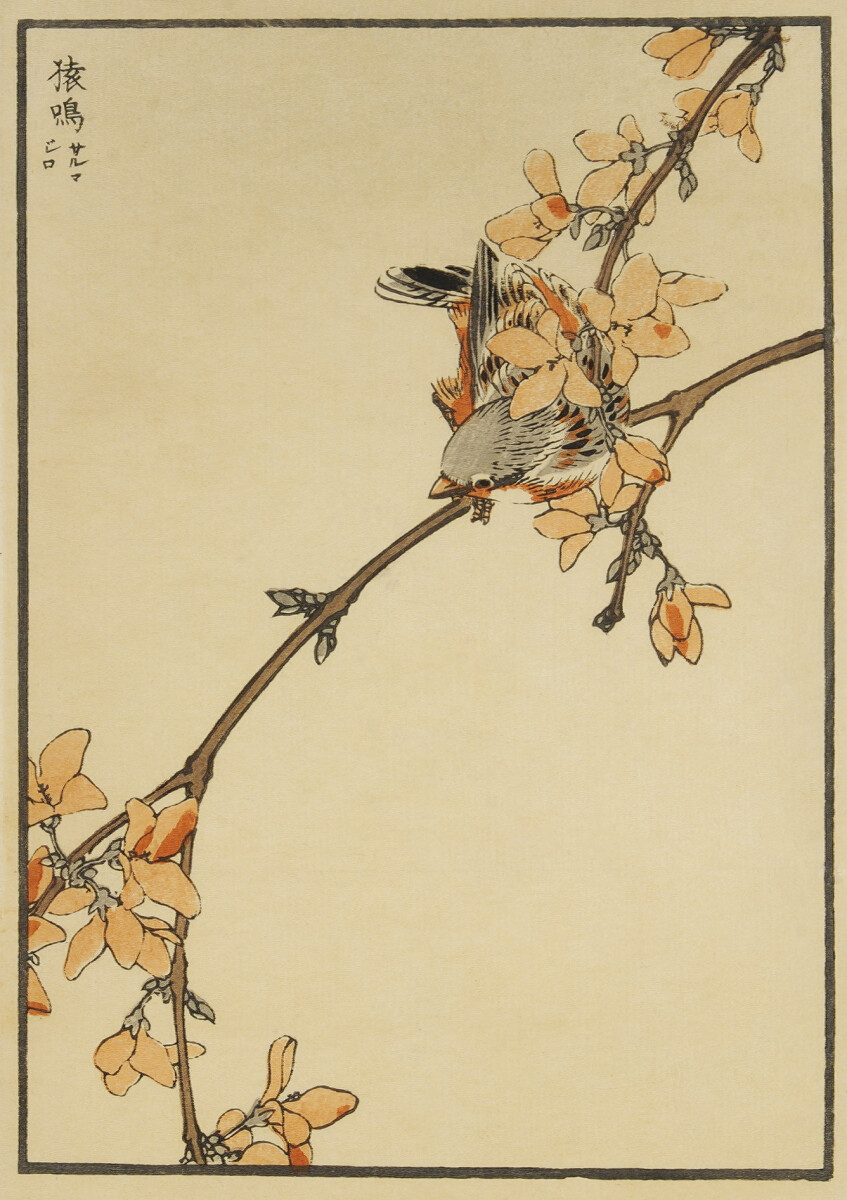 Bird and Blossom (Bordered)