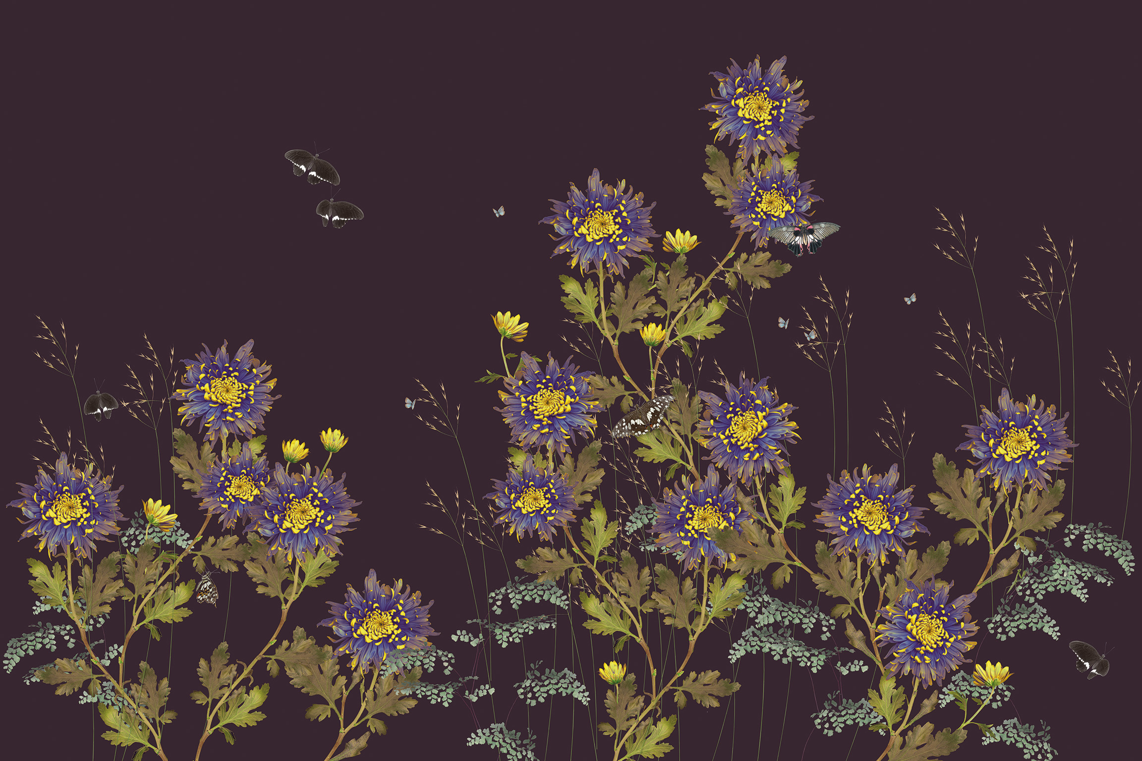 Chrysanthemum - Aubergine