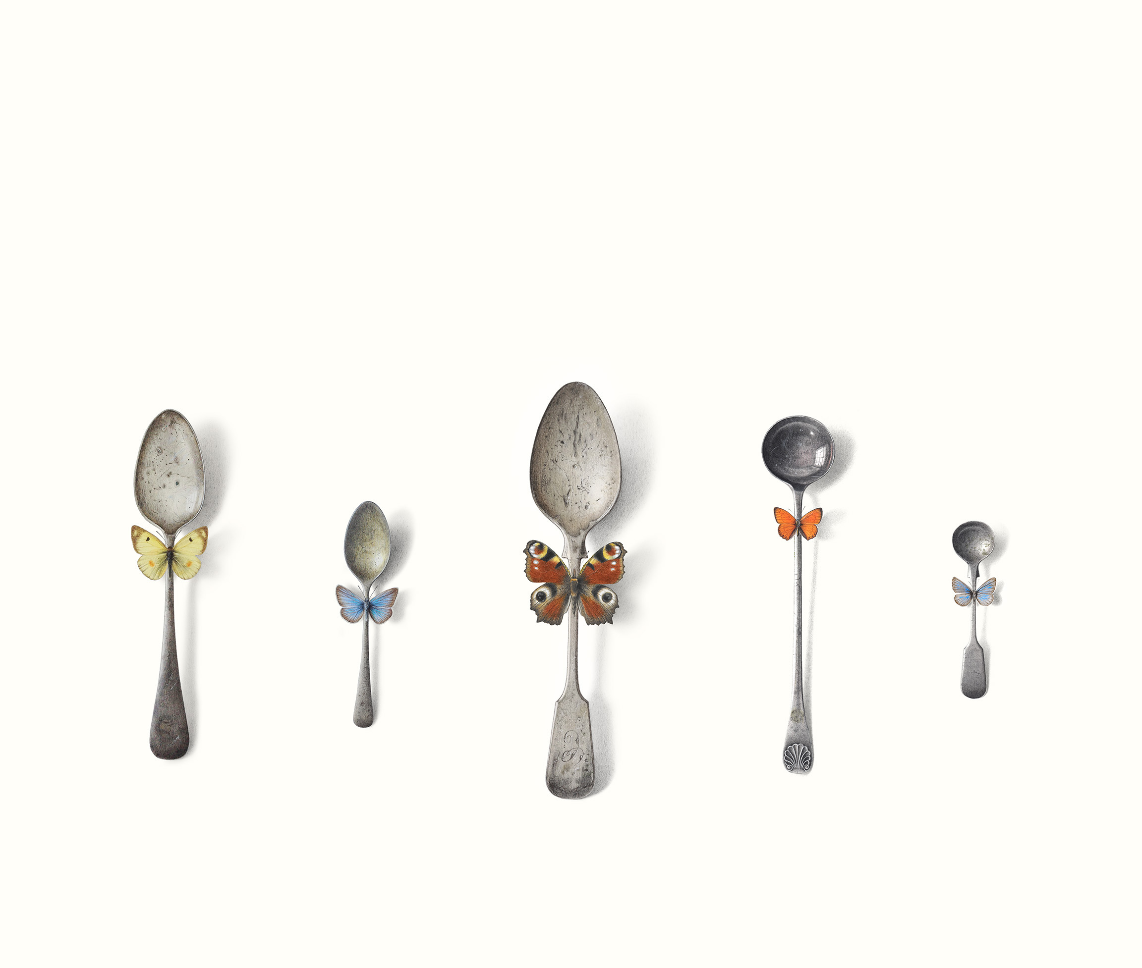 Dandy Spoons