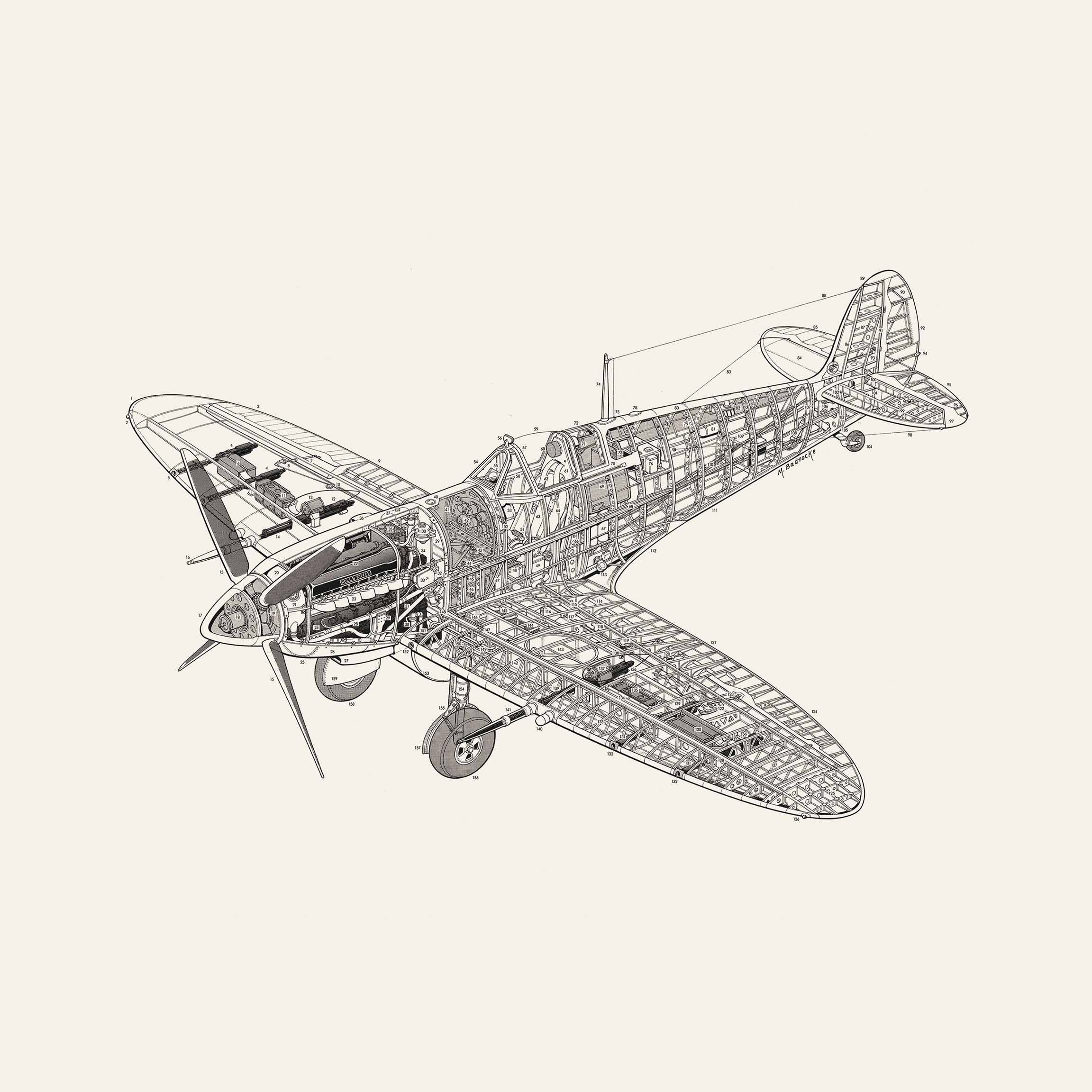 Supermarine spitfire Royalty Free Vector Image