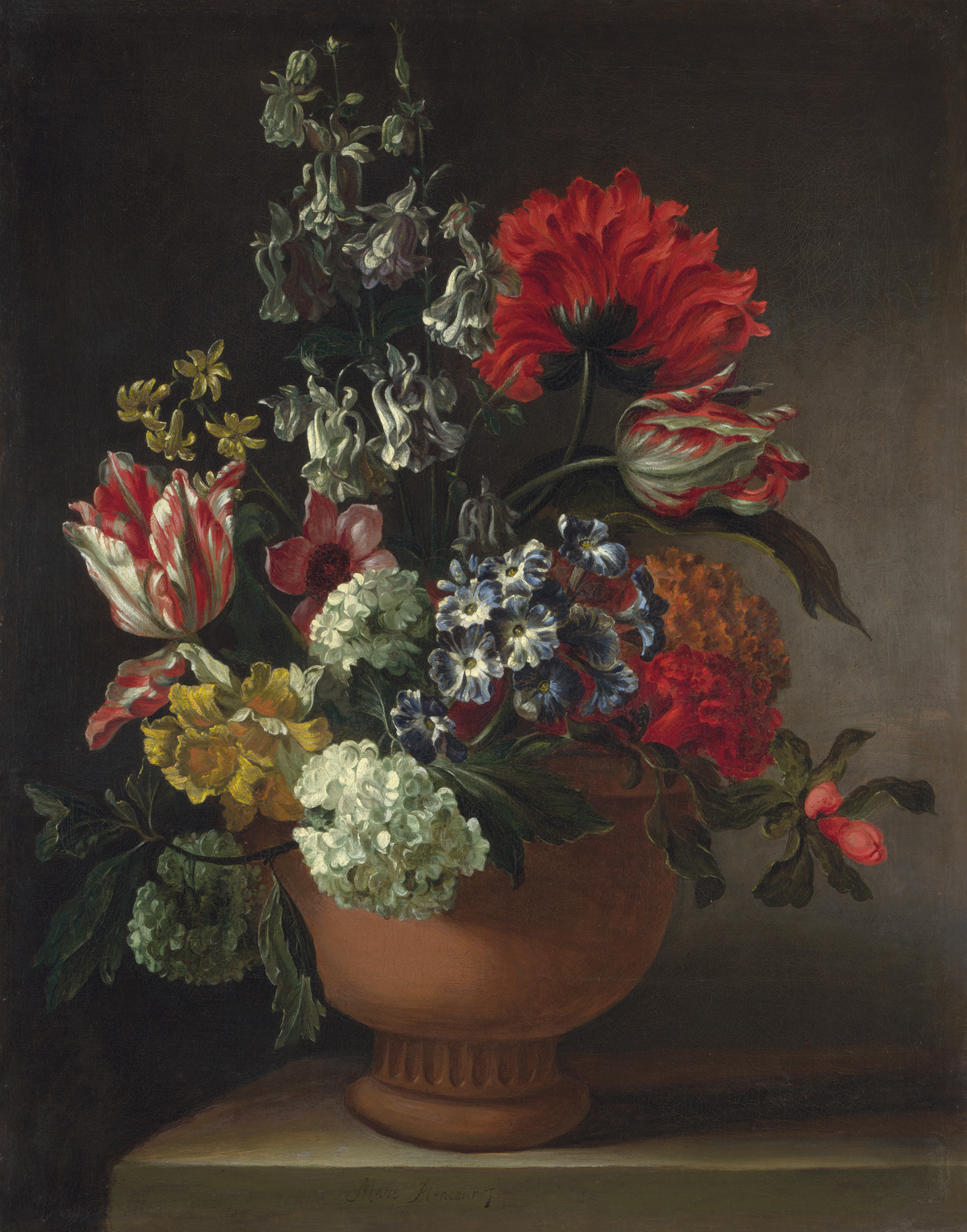 A Bowl of Flowers