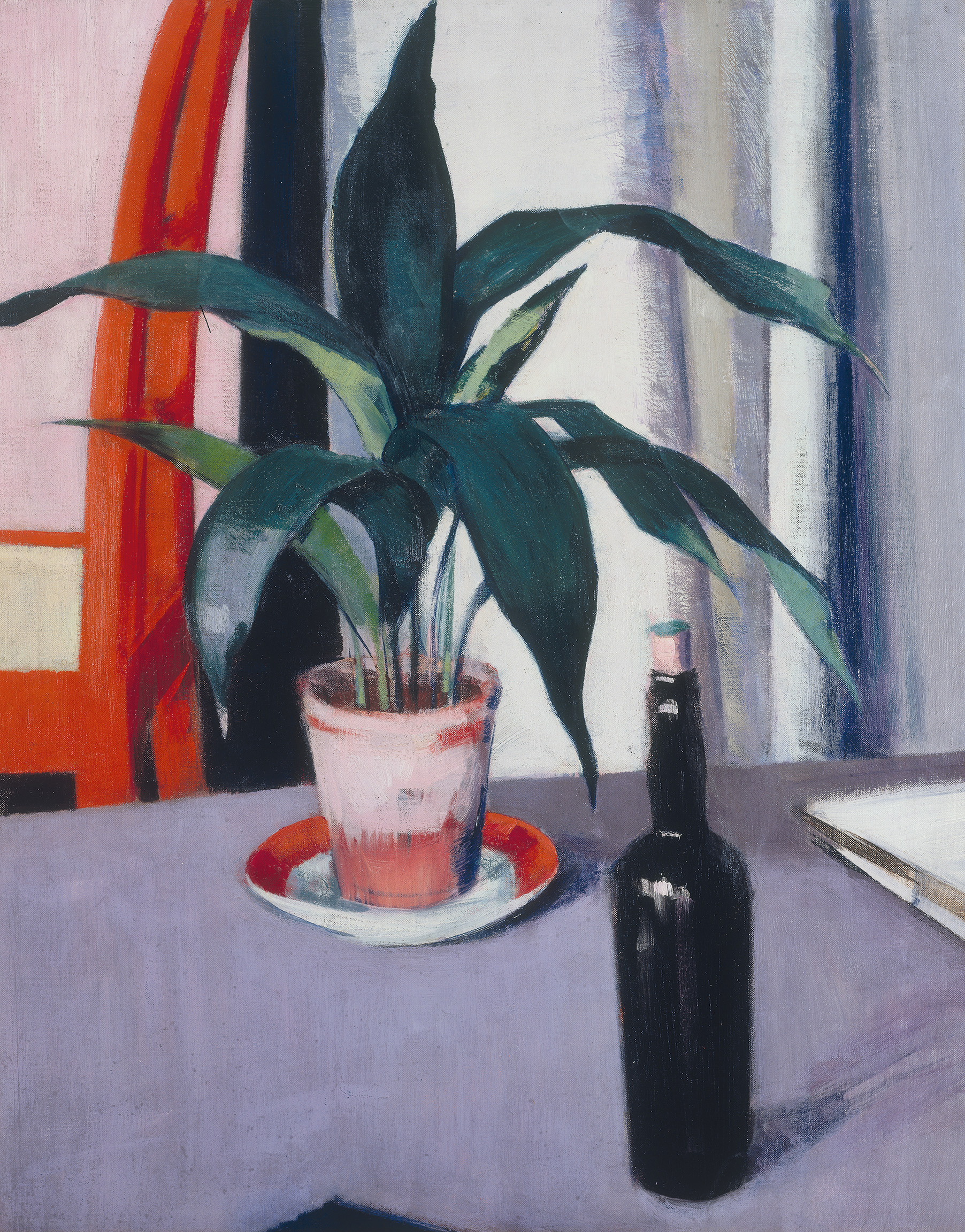 Aspidistra and Bottle on Table