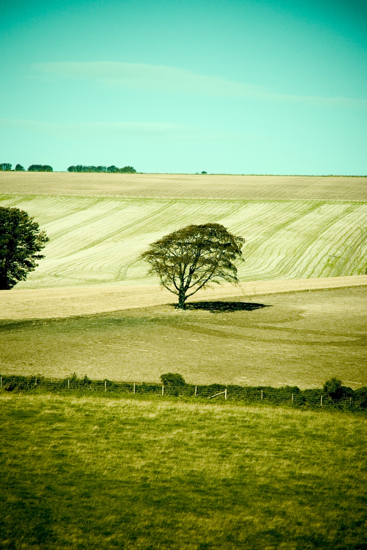 Farm Landscape