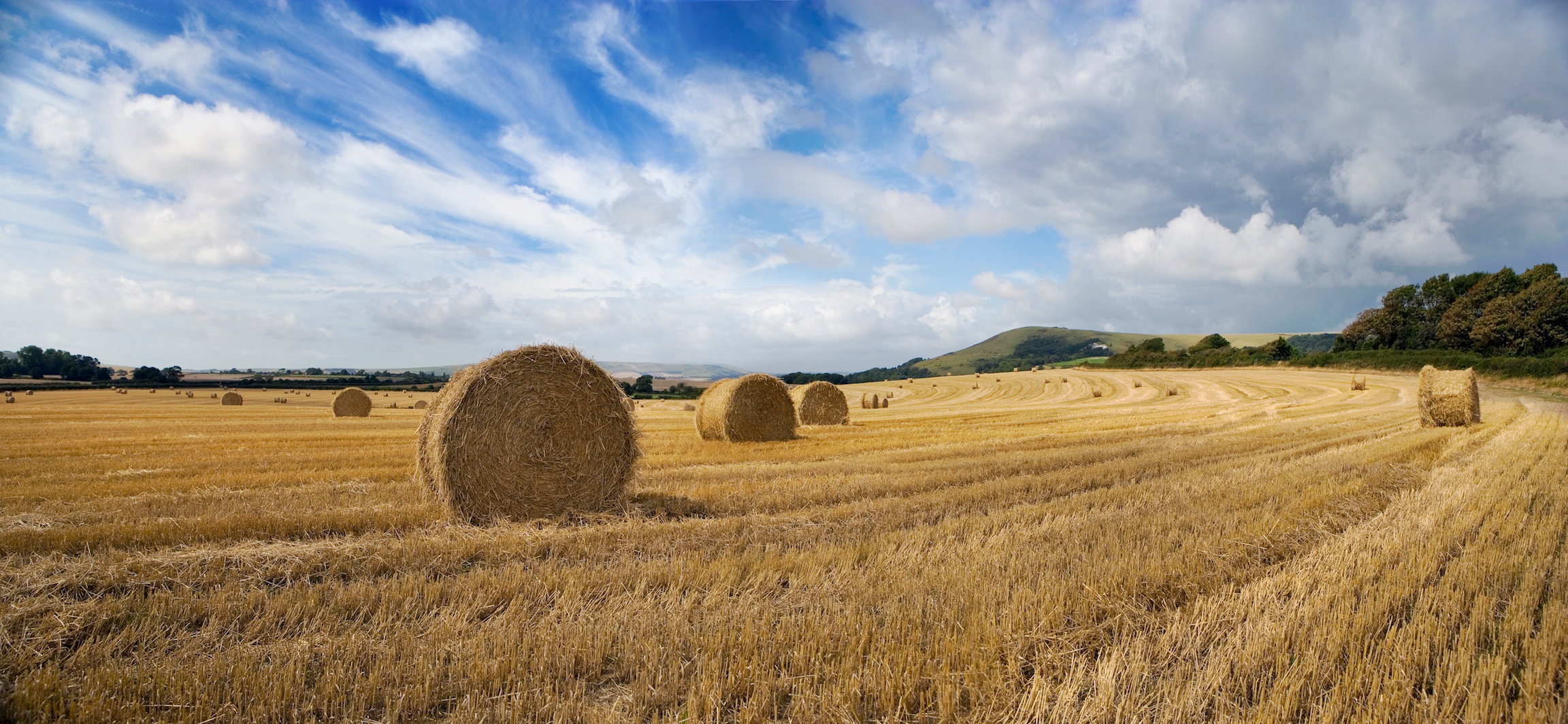 Hay Bales II