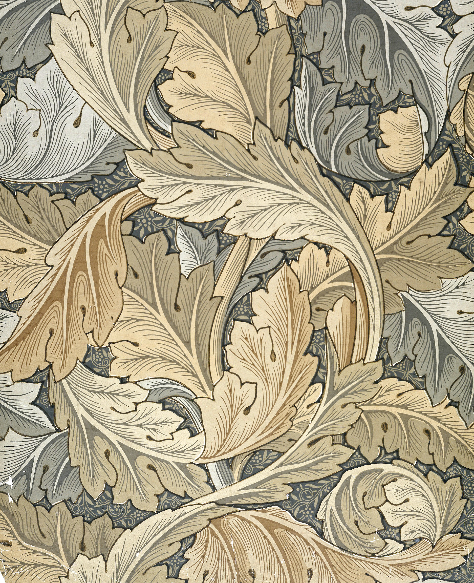 William Morris Wallpaper Lily Floral Wallpaper Peel and Stick Blooming  Floral Wallpaper Self Adhesive Acanthus Wallpaper 1453 sqft Buy Online  at Best Price in UAE  Amazonae