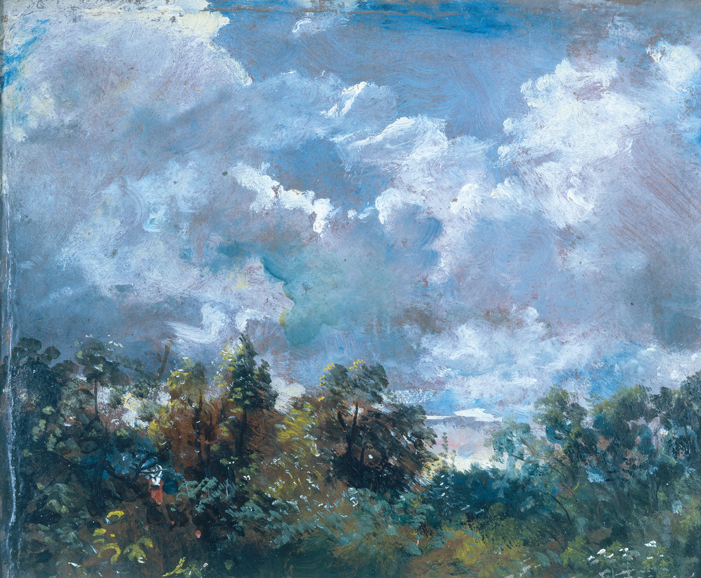 Study of Sky and Trees