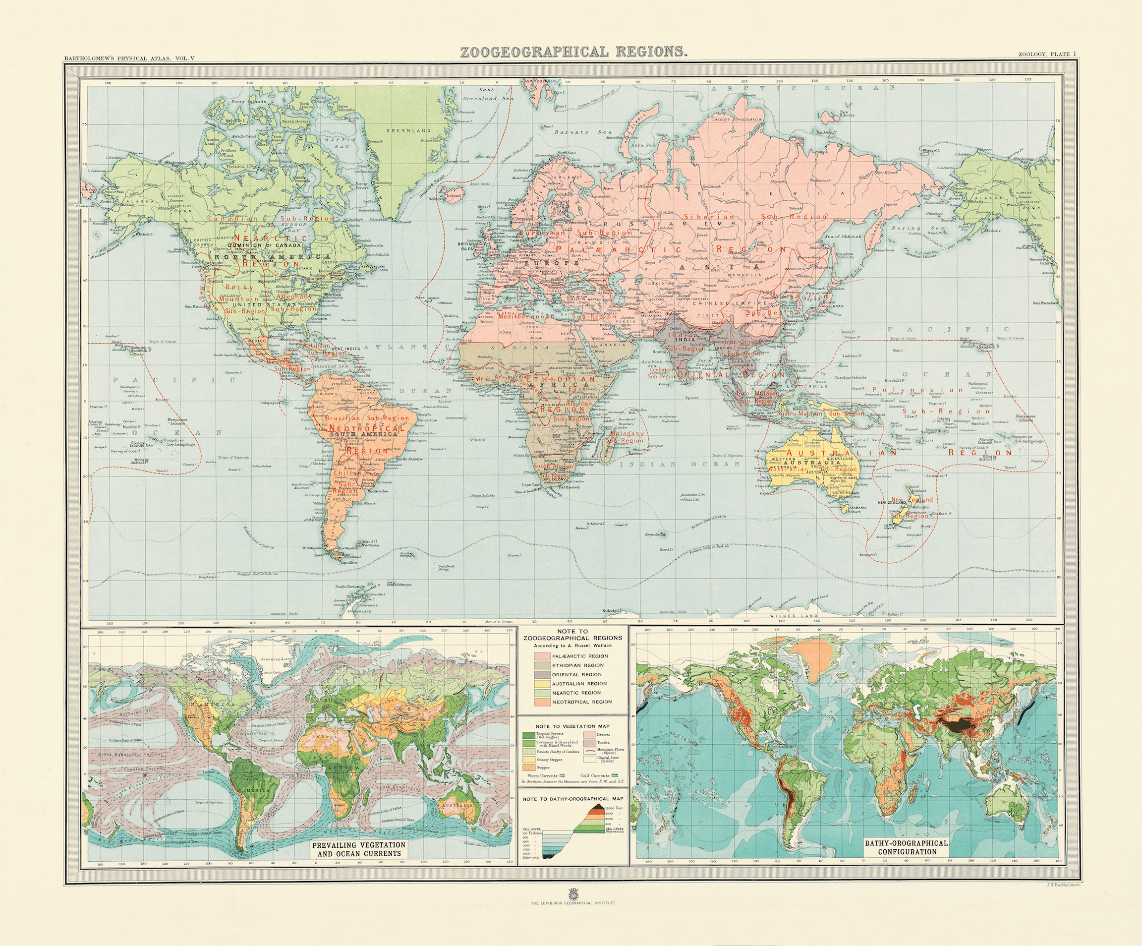 zoogeographical regions