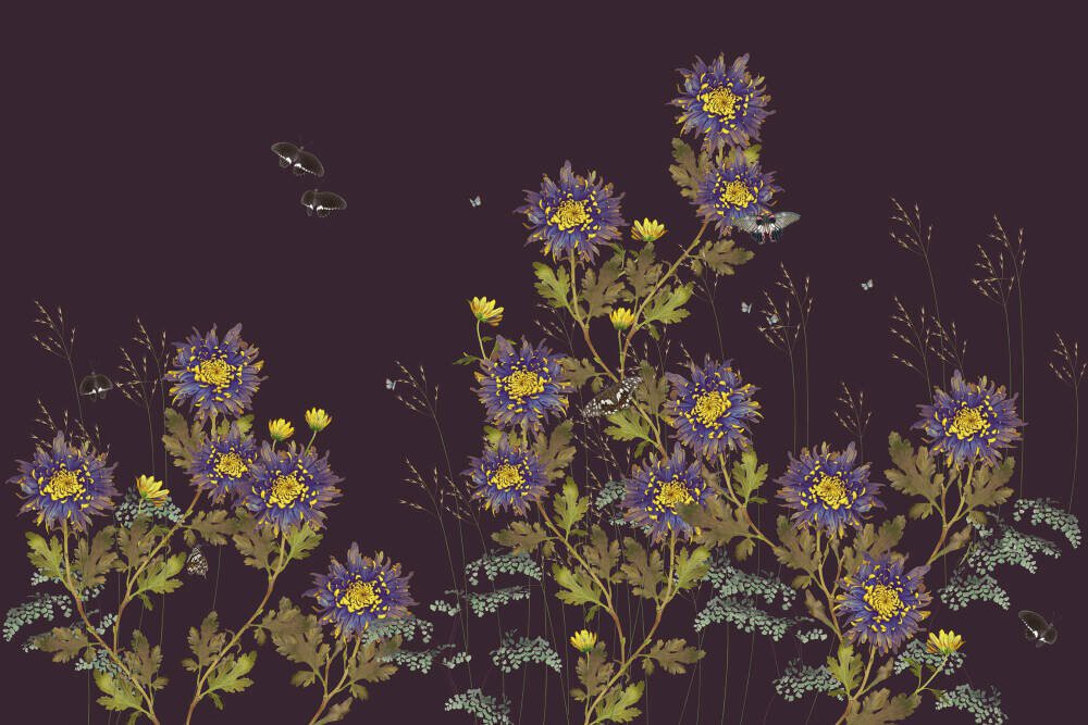 Chrysanthemum - Aubergine