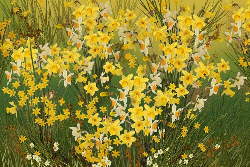 Welsh Daffodils - Green