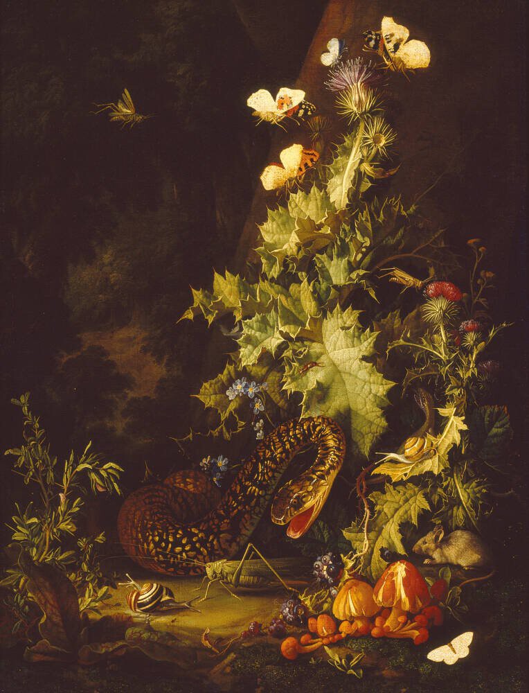 Still Life with a Snake