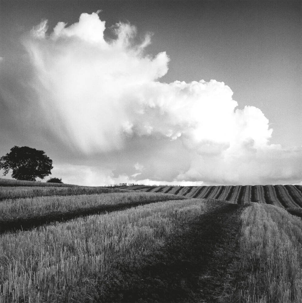 Large White Cloud near Bilsington