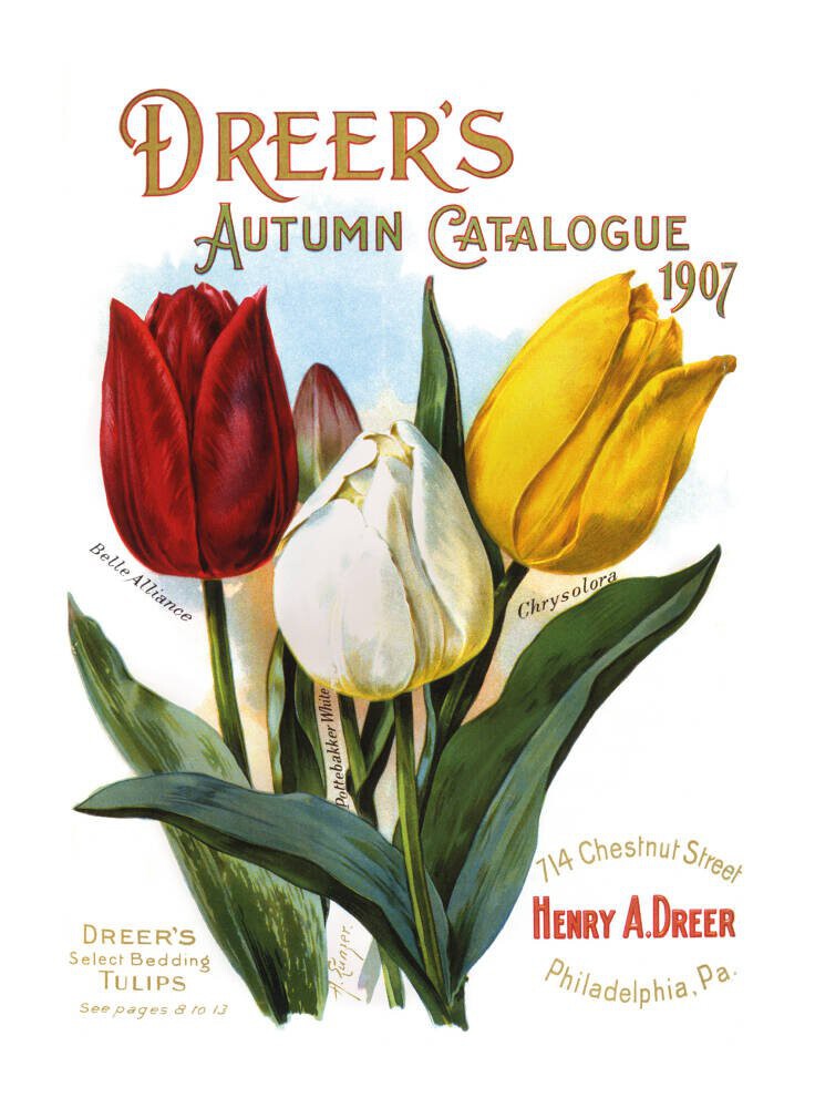 Dreer's Autumn Catalogue