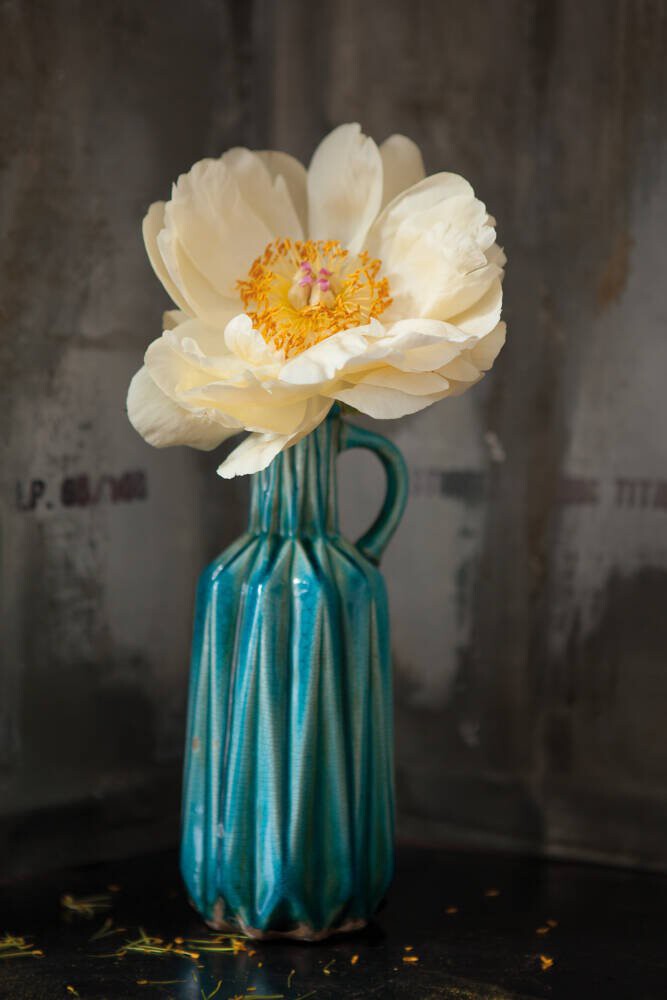 White Petals, Blue Vase
