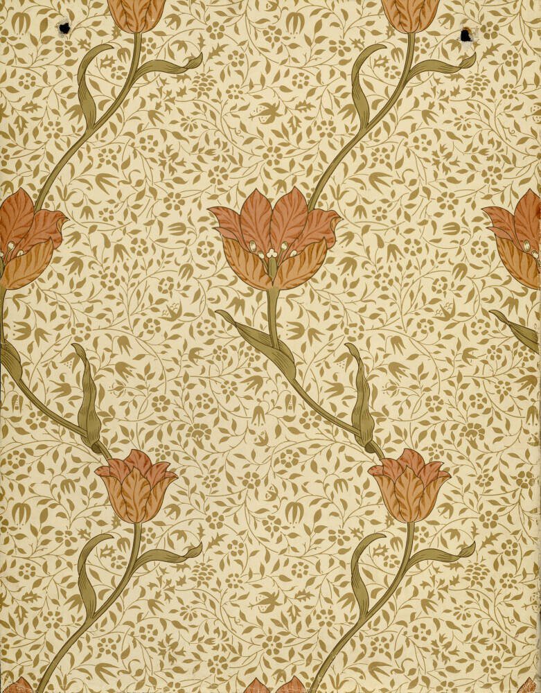 Garden Tulip Wallpaper
