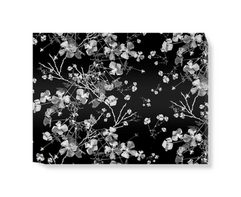 'Clematis Black on White' Canvas Wall Art