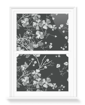 'Clematis Black on White' Decorative Window Films