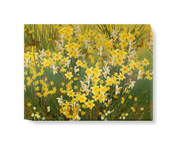 'Welsh Daffodils - Green' Canvas Wall Art
