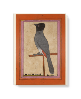 'Red-vented Bulbul' Canvas Wall Art